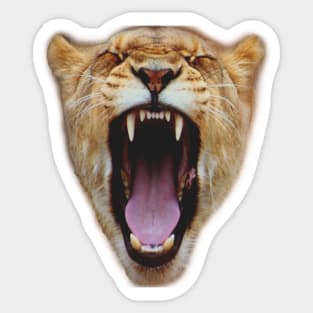 Lion Face Roar Sticker